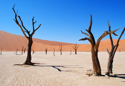 Microsoft_Azure_Virtual_Desktop