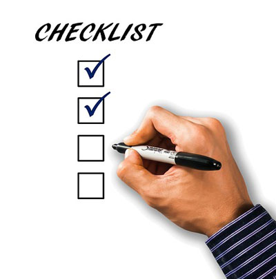 Virtual IT Director Services Checklist